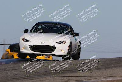 media/Nov-24-2023-Speed SF (Fri) [[8629a6e656]]/Gold/Session 2 (Grapevine)/